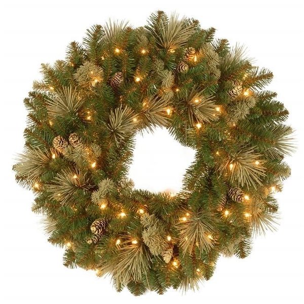 National Target Company National Tree 251261 24 in. Holiday Wonderland Golden Bristle Artificial Wreath 251261